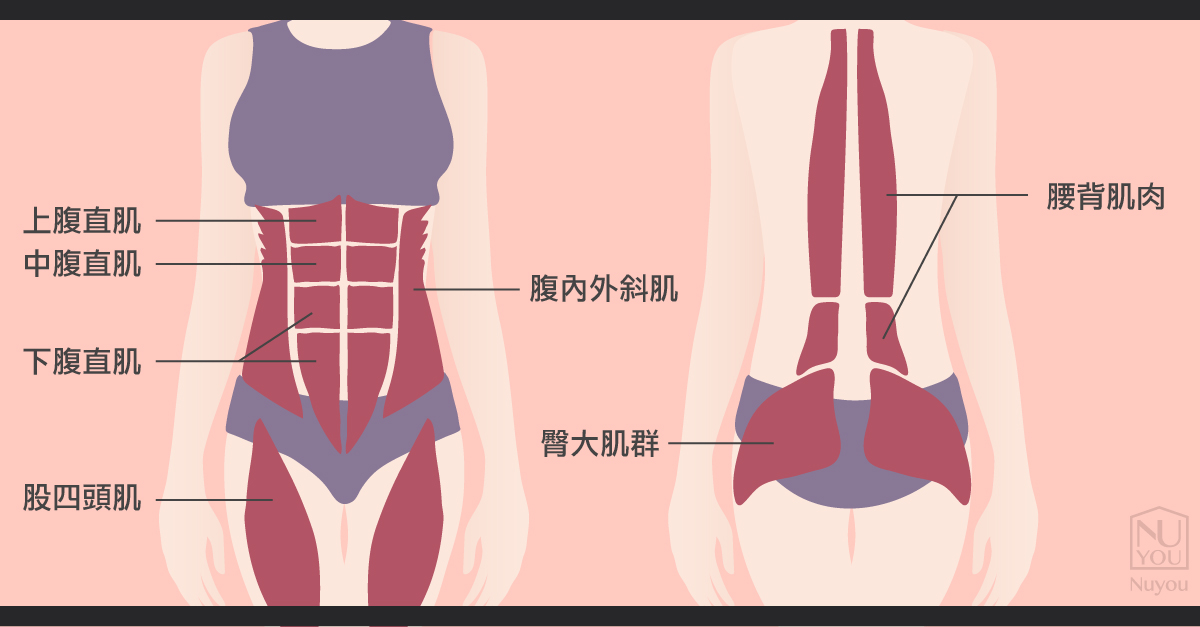 【EMBODY核心美力】熱搜話題-增肌體雕,你知道增肌的重要性嗎?